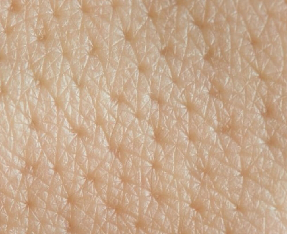 Где жил кожа. Клетки кожи человека. Текстура человеческой кожи. Кожа человеческая. Клетки человеческой кожи.